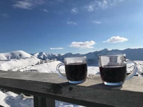 Gudauri Ski Studio 외부 사진
